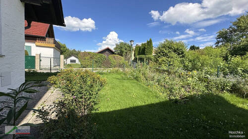 Gemüsegarten - 