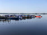Bild 11 - 