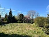 Blick in den Garten - 