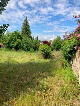 Grundstück - Grundstück in Zittau zum Kaufen