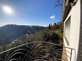Ausblick zur Burg - 