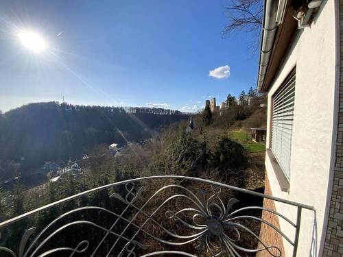 Ausblick zur Burg - 
