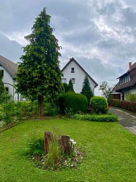 Rasen und Haus Nordseite - Mehrfamilienhaus, Wohnhaus mit 190,00 m&sup2; in Wiesloch zum Kaufen