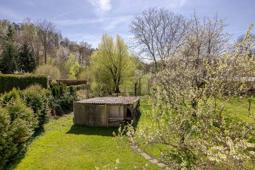 Blick in den Garten - 