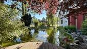 Gartenteich mit Steg - 