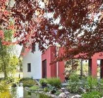 Naturidylle trifft urbanes Neubauwohnen - Lübeck Buntekuh