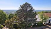 Ausblick Rheineben - Familienfreundlich mit herrlicher Aussicht