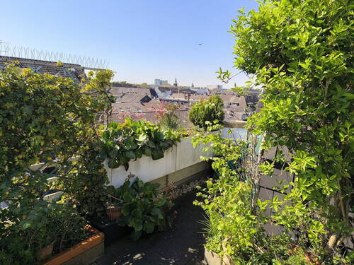 Terrasse - 