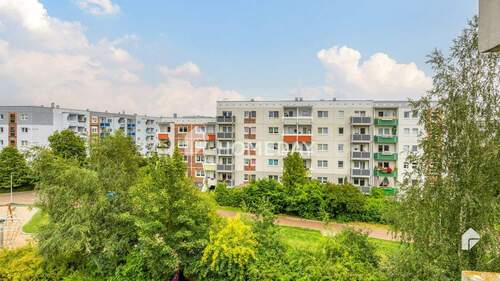 Ausblick - 