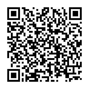 QR-Code - 