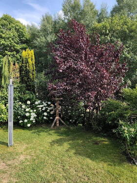Bild 25 - 