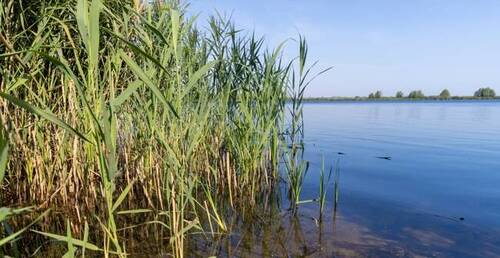 Bild 3 - Hotel, Pension, Gasthof in Waren (Region)