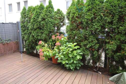 Terrasse - 