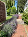 Bild 10 - 