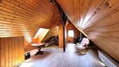 Dachstudio - 
