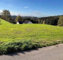 Baugrundstücke mit einer unverbaubaren Aussicht in Wißmannsdorf-Koosbüsch.