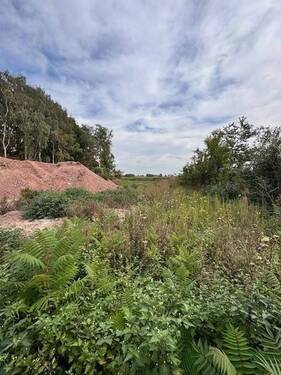 Bild 3 - Grundstück in Beckedorf