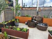 Hochbeete und Ansicht Terrasse - 