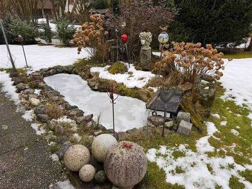 Gartenteich-Steingarten - 