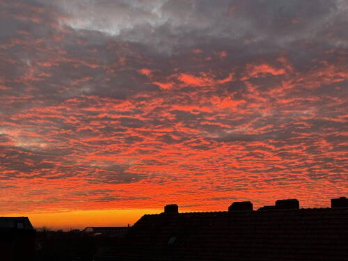 Ausblick - 