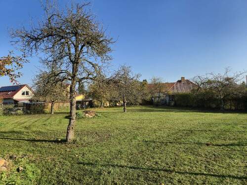 20251107_110441[1].jpg - 