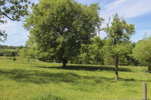 Garten - 6 Zimmer Einfamilienhaus in Wüstenrot
