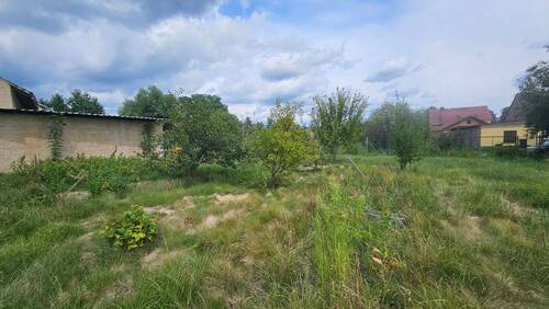 Garten.jpg - 