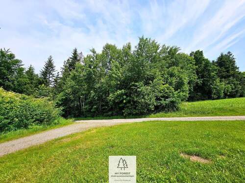 20250610_124803.jpg - 