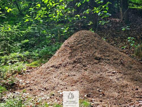 20250610_130607.jpg - 