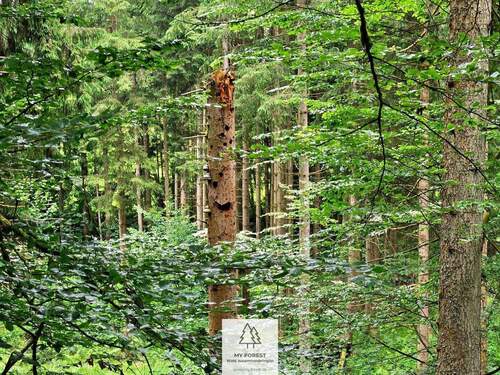 20250610_133111.jpg - 