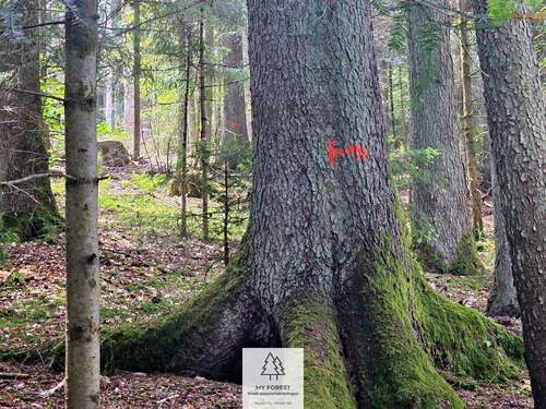 20250610_131416.jpg - 