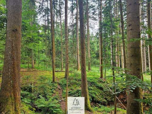 20250610_160934.jpg - 