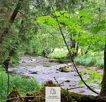 Grün, nachhaltig & regional. Wald als wertstabiles Investment! - Schönberg Kirchberg