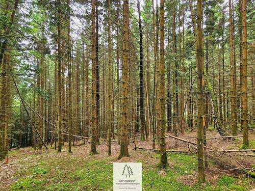 20250610_161529.jpg - 