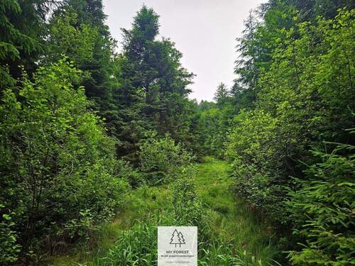 20250610_164011.jpg - 