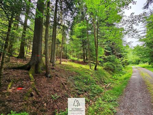 20250610_131350.jpg - 