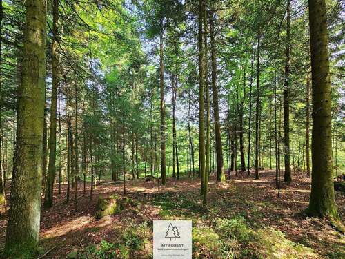 20250610_121423.jpg - 