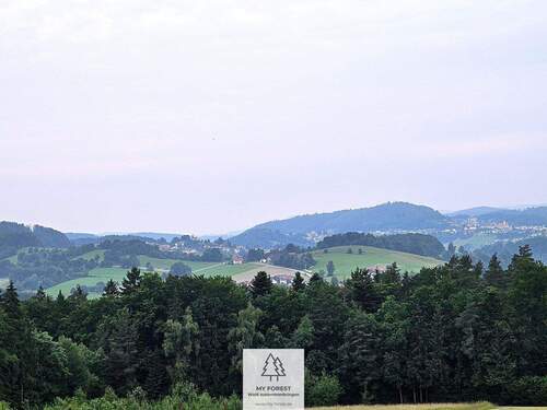 20250610_185548.jpg - 