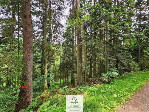 20250610_131950.jpg - 