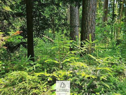 20250610_123648.jpg - 