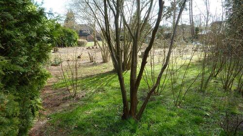 P1040842.JPG - Grundstück zum Kaufen in Tespe