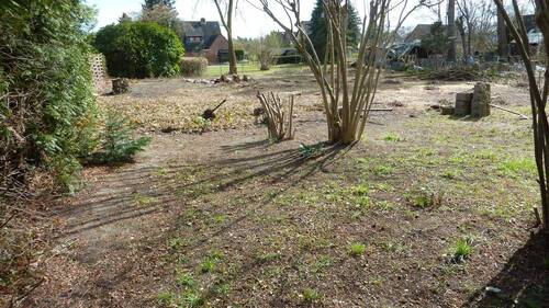 P1040843.JPG - Grundstück in Tespe