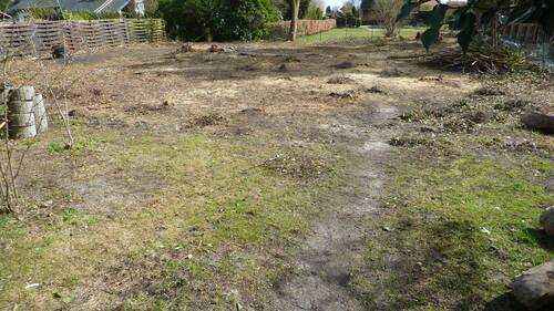 P1040844.JPG - Grundstück in Tespe zum Kaufen