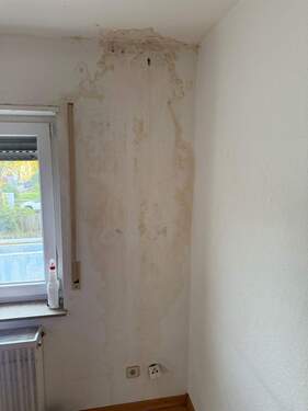 Feuchtigkeitsschaden - 