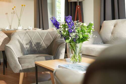 Die ästhetische Dekoration - 