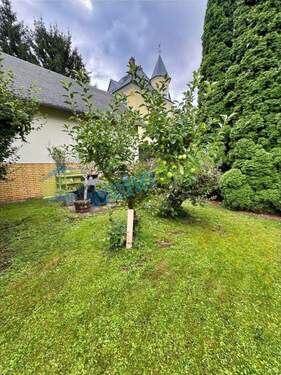 Garten - Mehrfamilienhaus, Wohnhaus mit 320,00 m&sup2; in Bad Lausick zum Kaufen