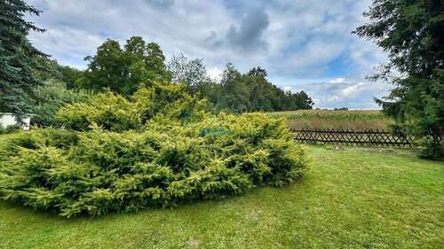 Blick Richtung Feld - 