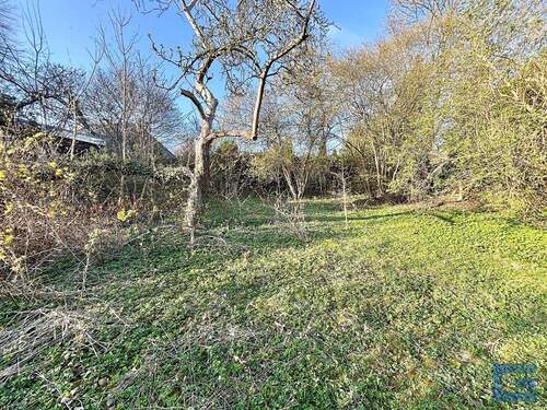 Garten - Einfamilienhaus mit 159,00 m&sup2; in Molfsee zum Kaufen