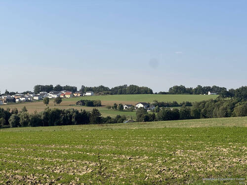 Immobilien-Eggenfelden 2 - Grundstück in Marklkofen / Wunder zum Kaufen