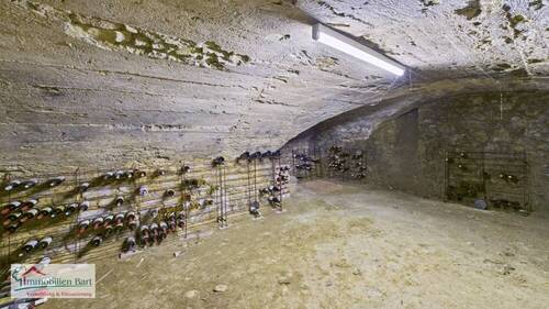 Weinkeller - 